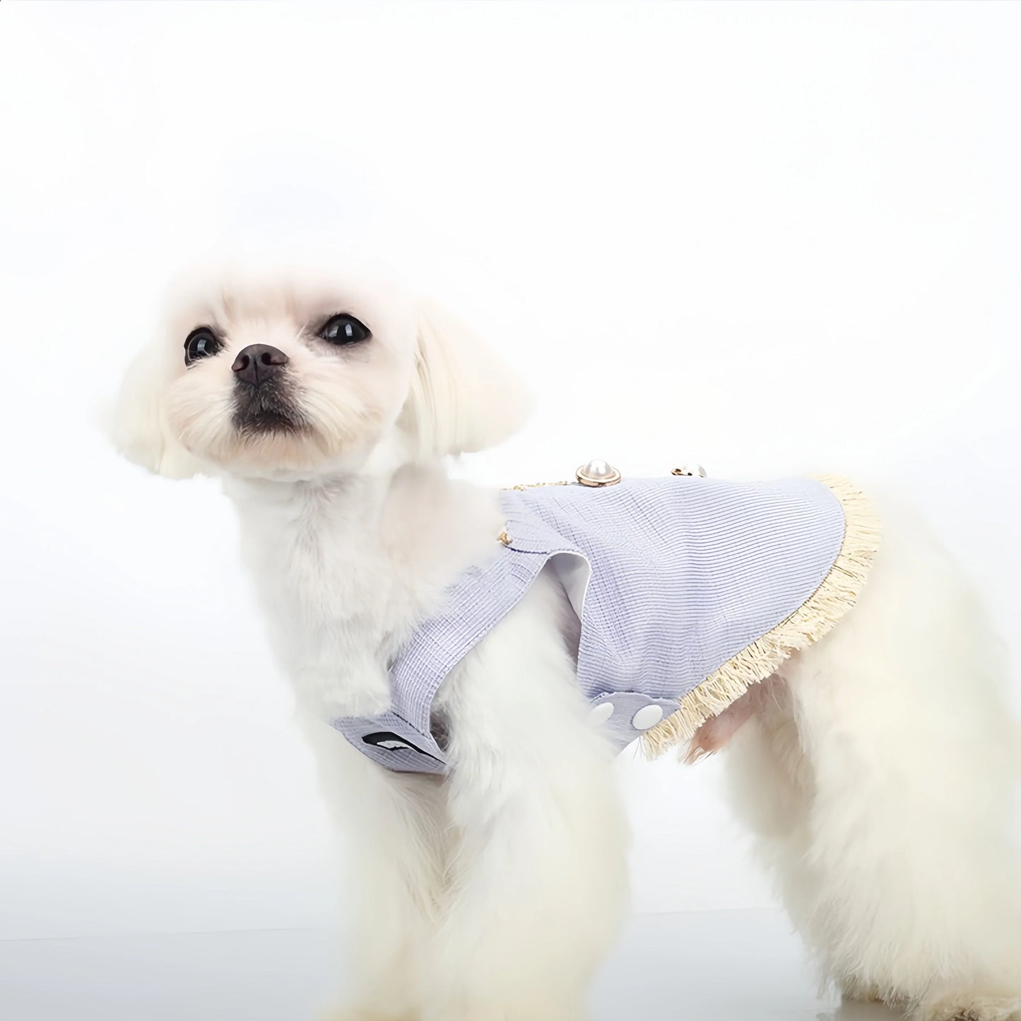 Chanel-inspired Pet Dress