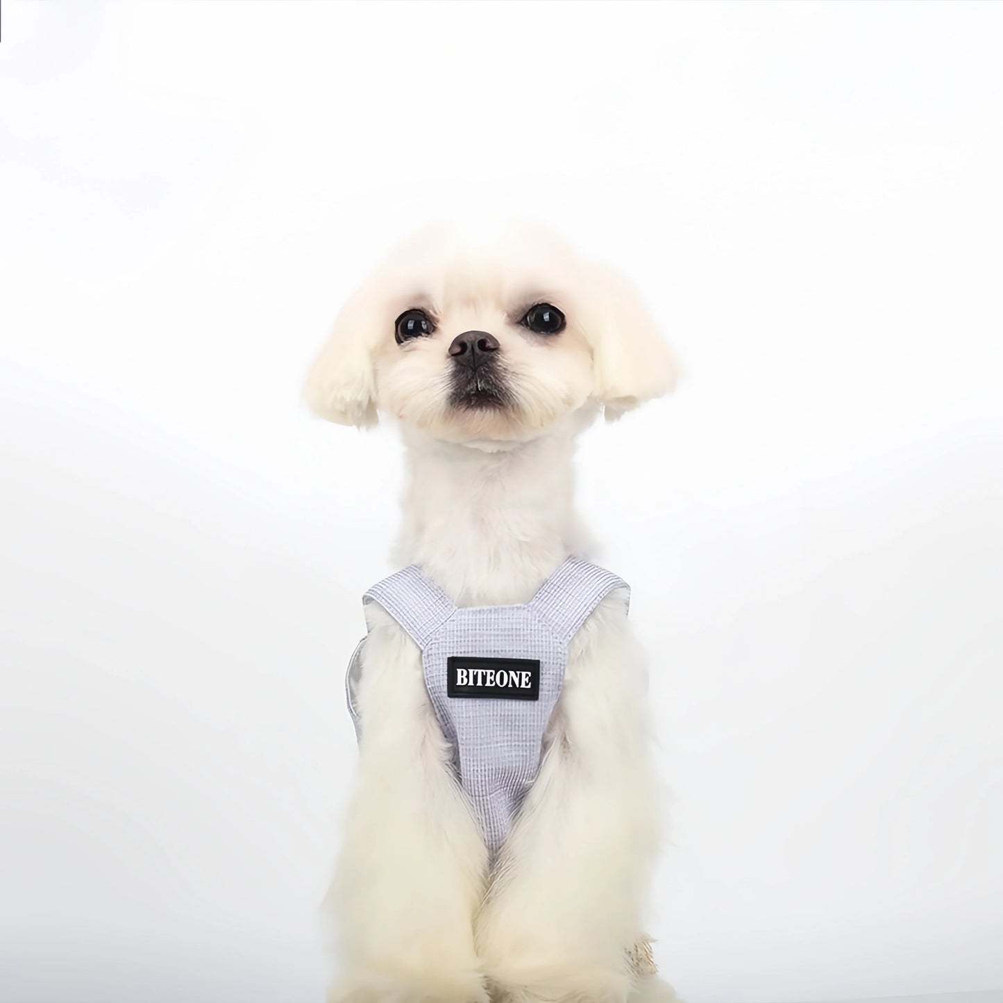 Chanel-inspired Pet Dress