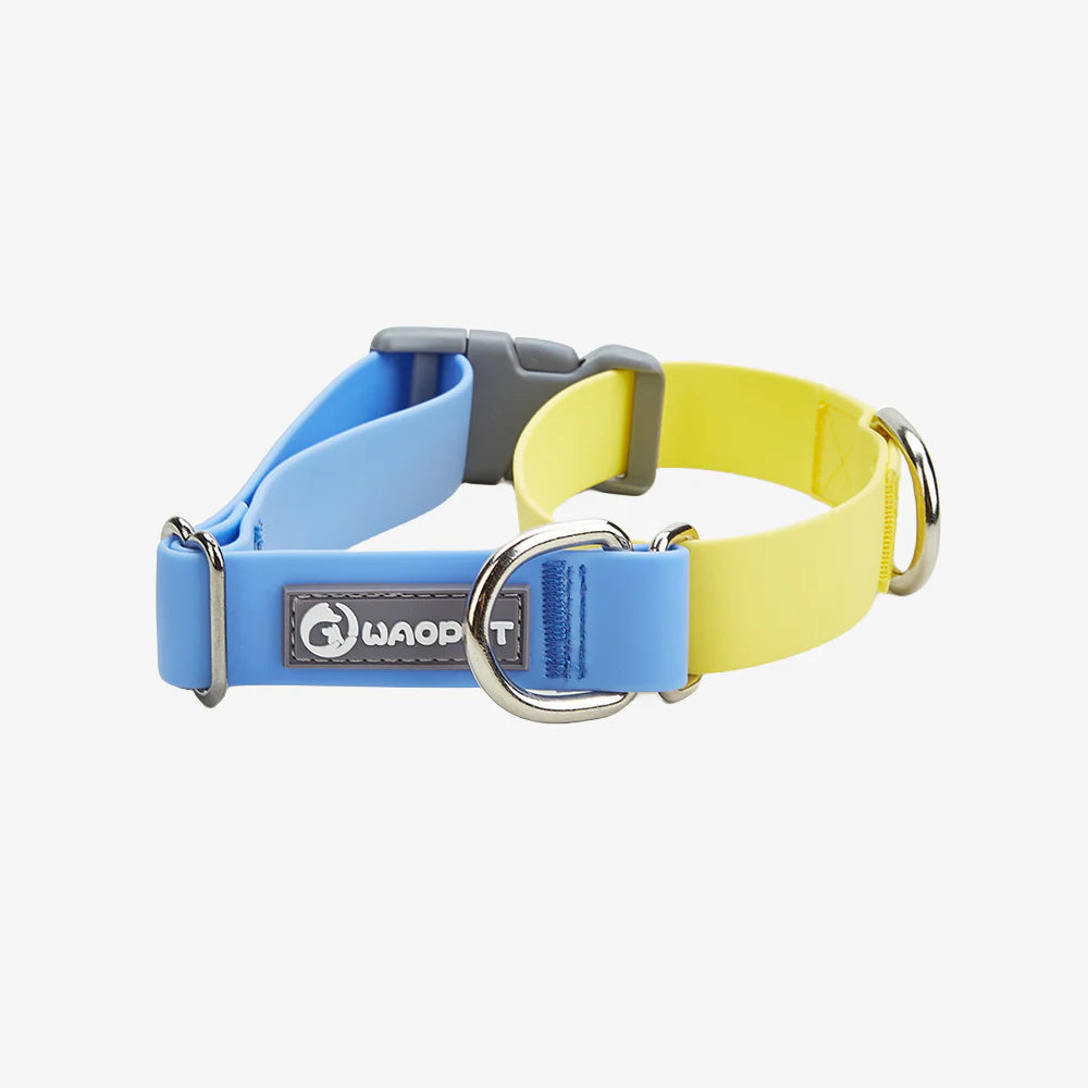 Contrasting Colors Waterproof Dog Collar