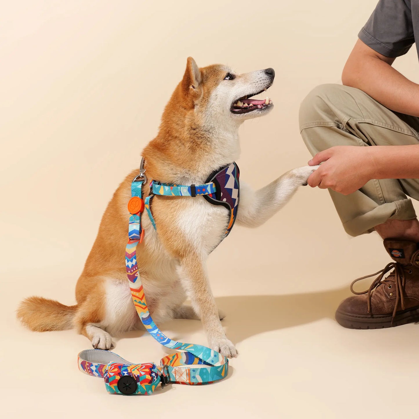 Adjustable Color-Blocked Dog Leashes