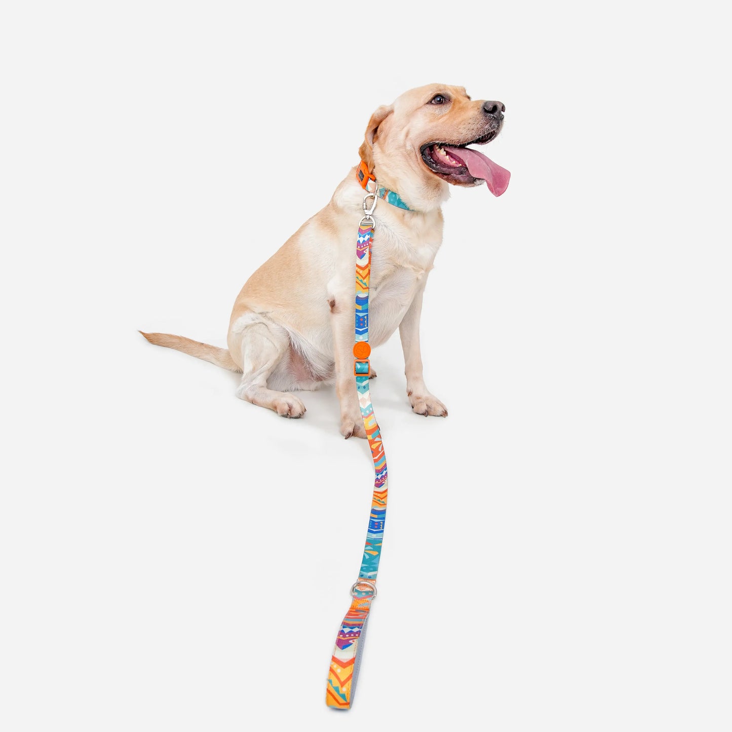 Adjustable Color-Blocked Dog Leashes