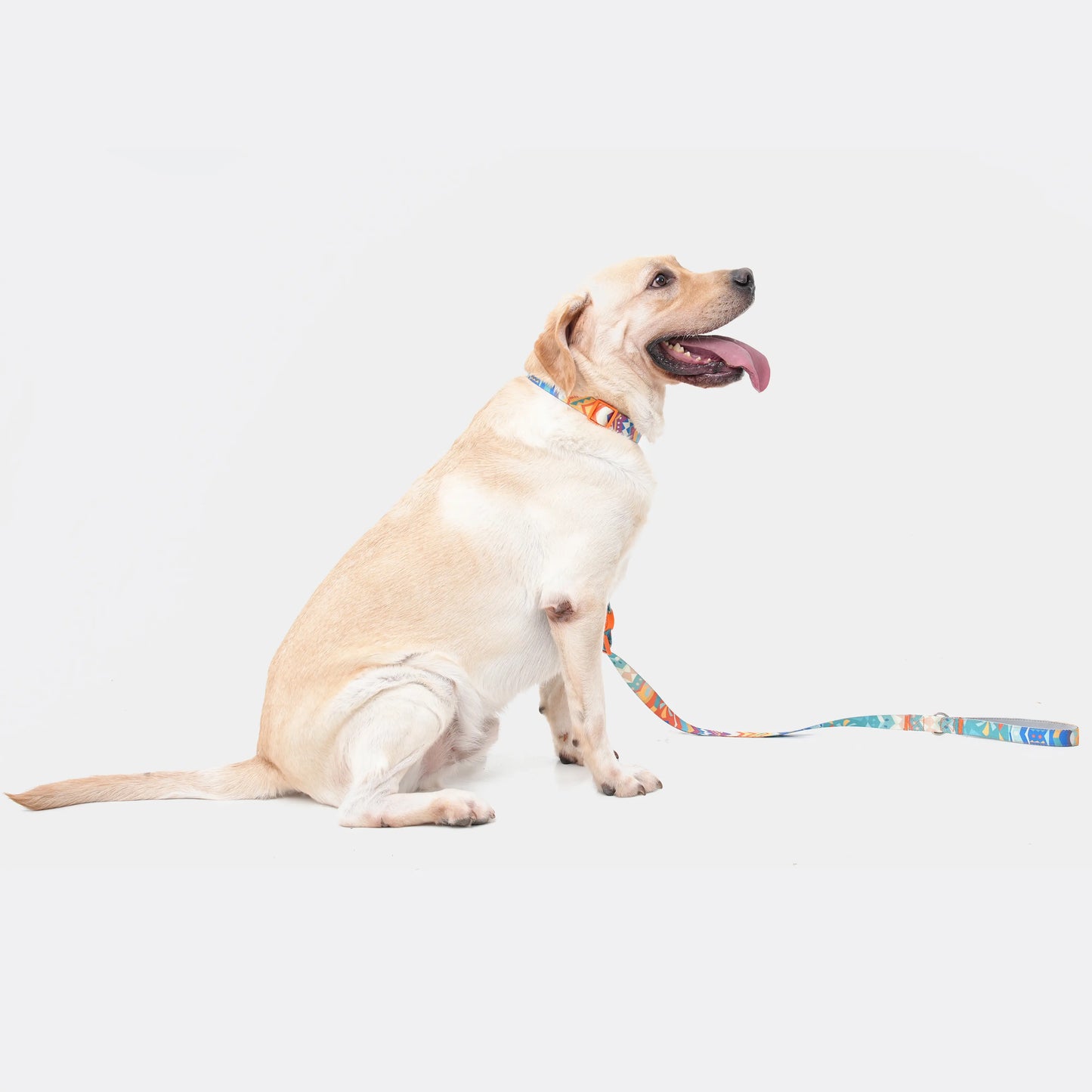 Adjustable Color-Blocked Dog Leashes