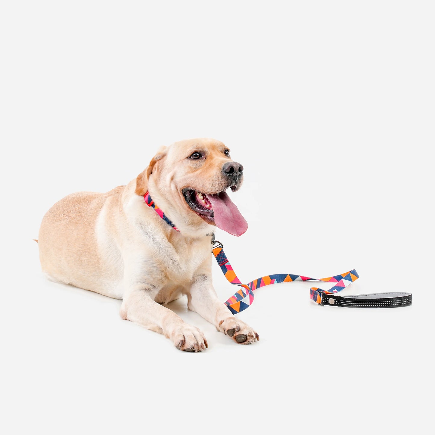 ColorfulPlaid  Dog Collar & Leash Kits-Reflective