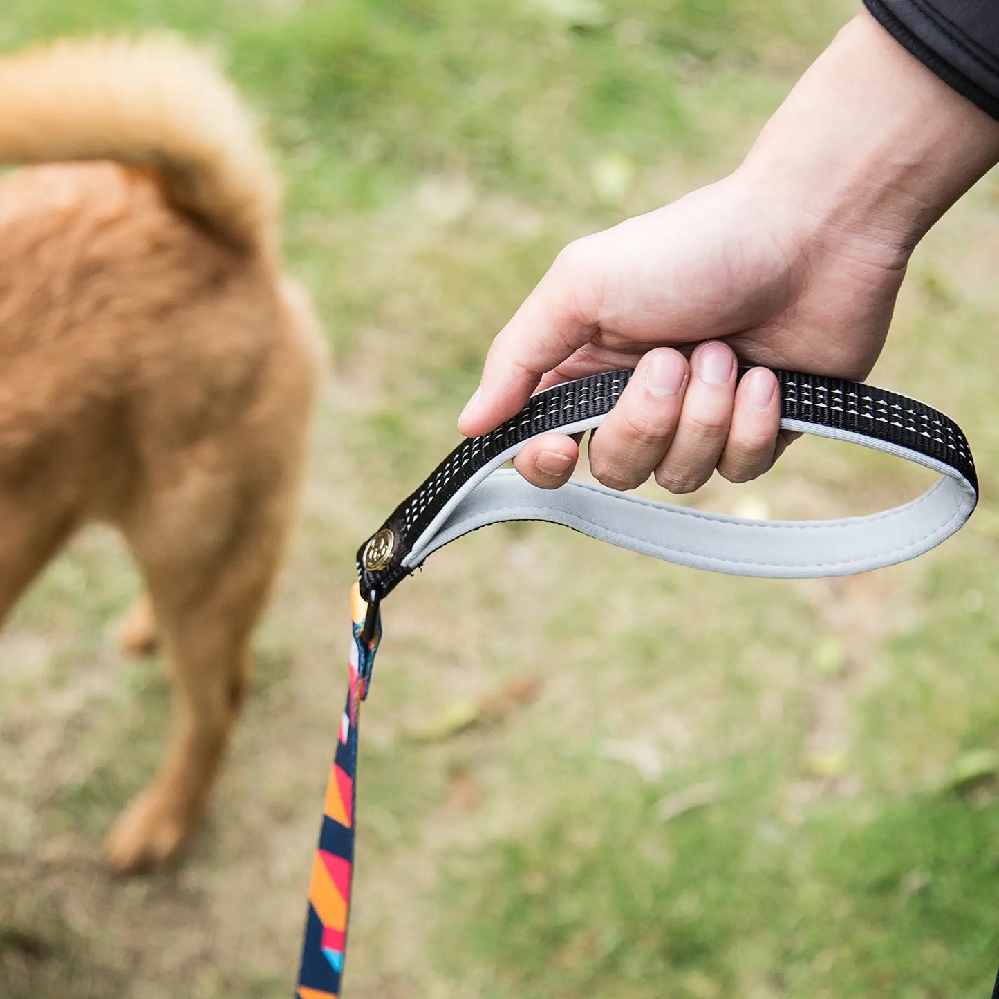 ColorfulPlaid  Dog Collar & Leash Kits-Reflective